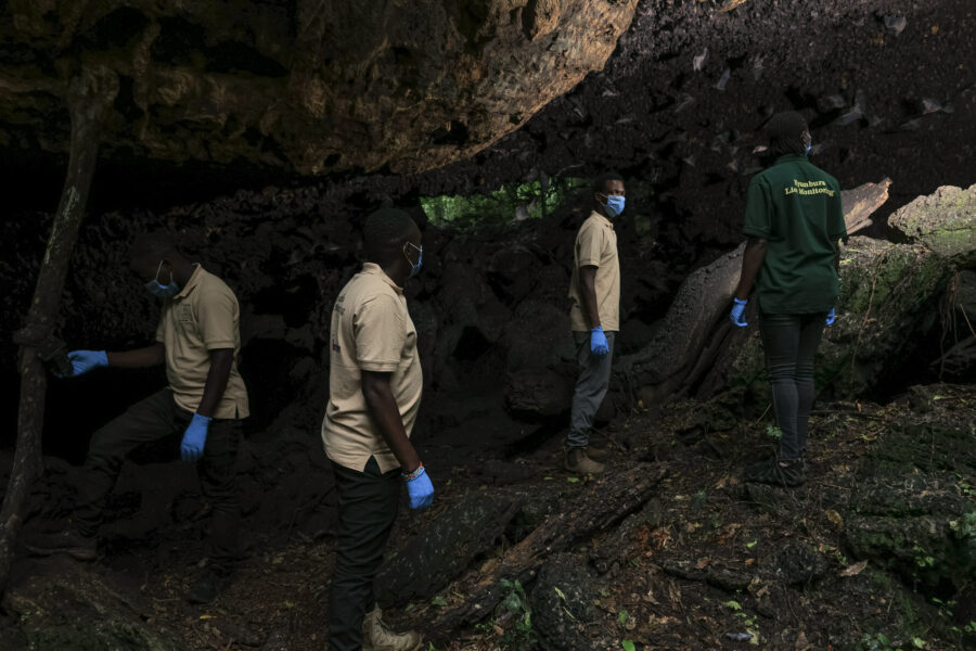 Researchers observing the bats at the mouth of Python Cave