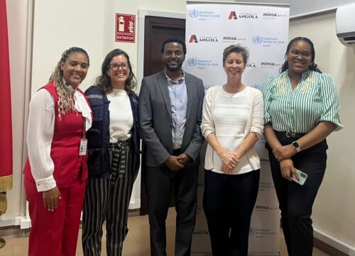 Mission team, WHO country office