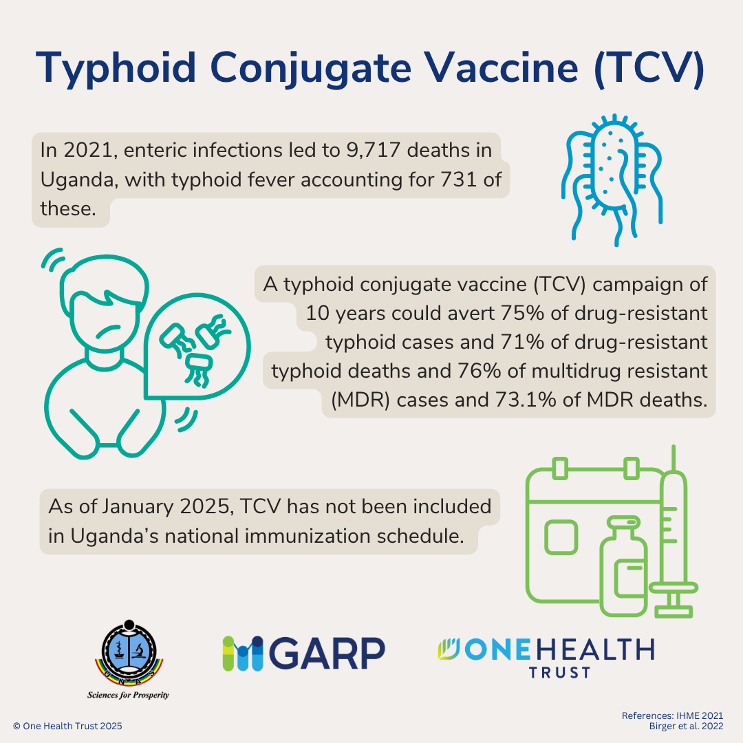 Typhoid Conjugate Vaccine 