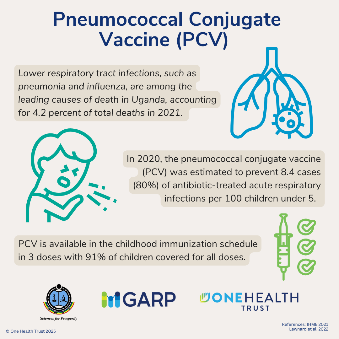 Pneumococcal conjugate vaccine 