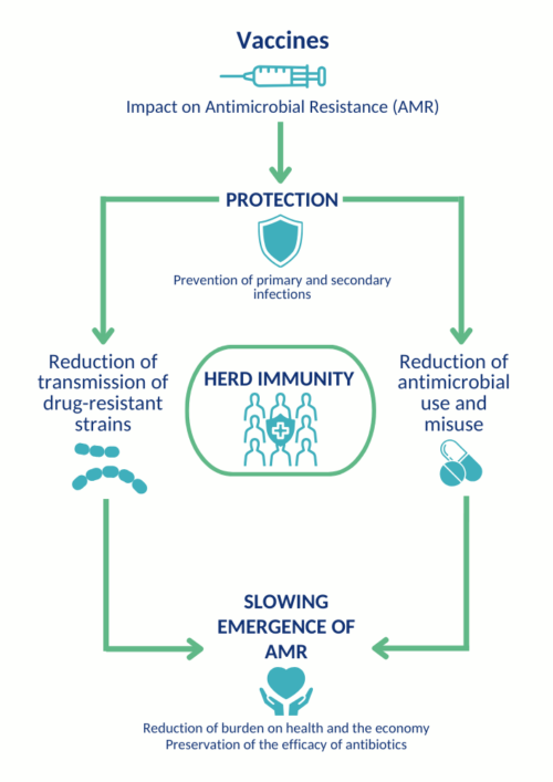 Vaccines and AMR infographic